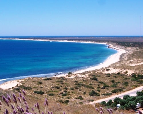 ninglaoo marine western australia