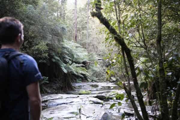 Erskine Falls Great ocean road