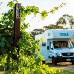 Our Adelaide to Darwin Escorted Motorhome Tour are preparing to set off south_australia_vineyards