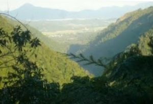 Kuranda views queensland