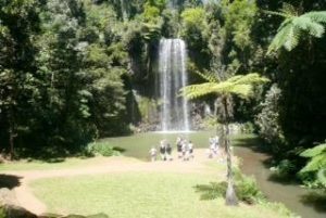 Milla Milla Falls Atherton Tablelands