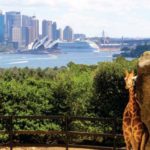 Motorhome Rentals Sydney Taronga Zoo, Sydney, NSW