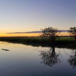 Kakadu National Park and why you should visit! Dawn Cruise Yellow Waters Kakadu National Park
