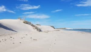 Sandhills Cape Range