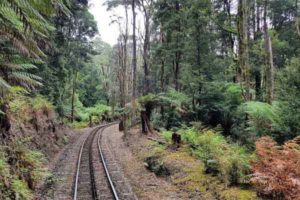 Motorhome Tours to Tasmania- Trail