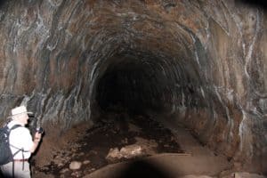 microbats at Undara Lava Tubes