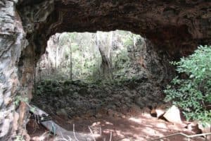 Archway explorer tour at Undara Lava Tubes