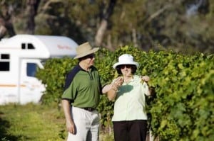 Adelaide wine regions