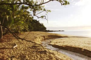bingil bay beaches tropical queensland