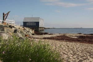 Busselton Interpretive Centre and pier beach grass blue sky sea