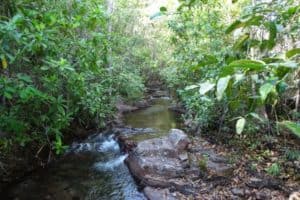 Litchfield national park