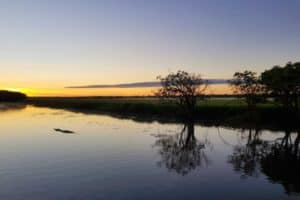Dawn Cruise Yellow Waters Kakadu National Park