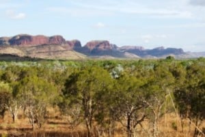 Eastern Kimberleys
