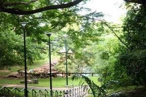 George brown botanical gardens darwin