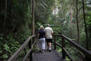 Fancy some bushwalking when travelling in your Motorhome Hire?