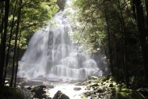Nelson Waterfall, Tasmania