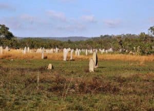 litchfield_national_park_magnetic_termite_mounds