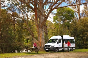 Motorhome Hire 2berth Australia Camping