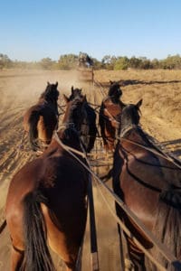 Outback Pioneers Stagecoach ride Longreach australia