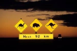 nullarbor road signs Australia campervan hire from Adelaide