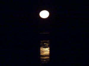 staircase_to_the_moon_broome