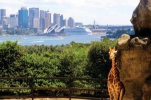 Taronga Zoo, Sydney, NSW