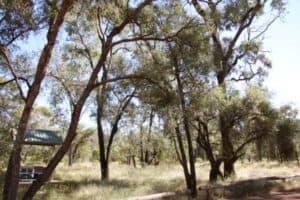 Tregole National Park near Morvin QLD
