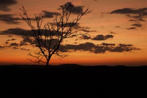 australian outback sunset tree clouds