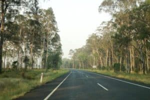 Driving in to Carnarvon Gorge