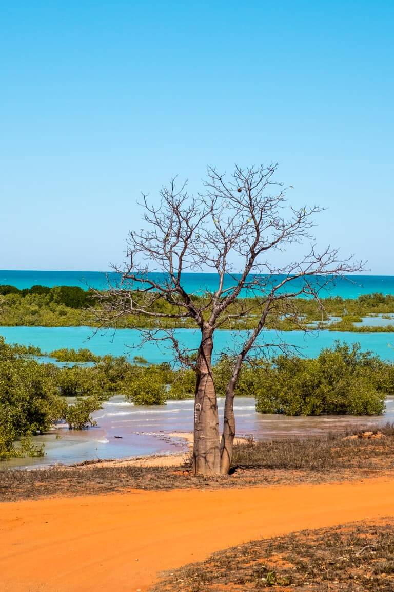 darwin to perth broome campervan hire