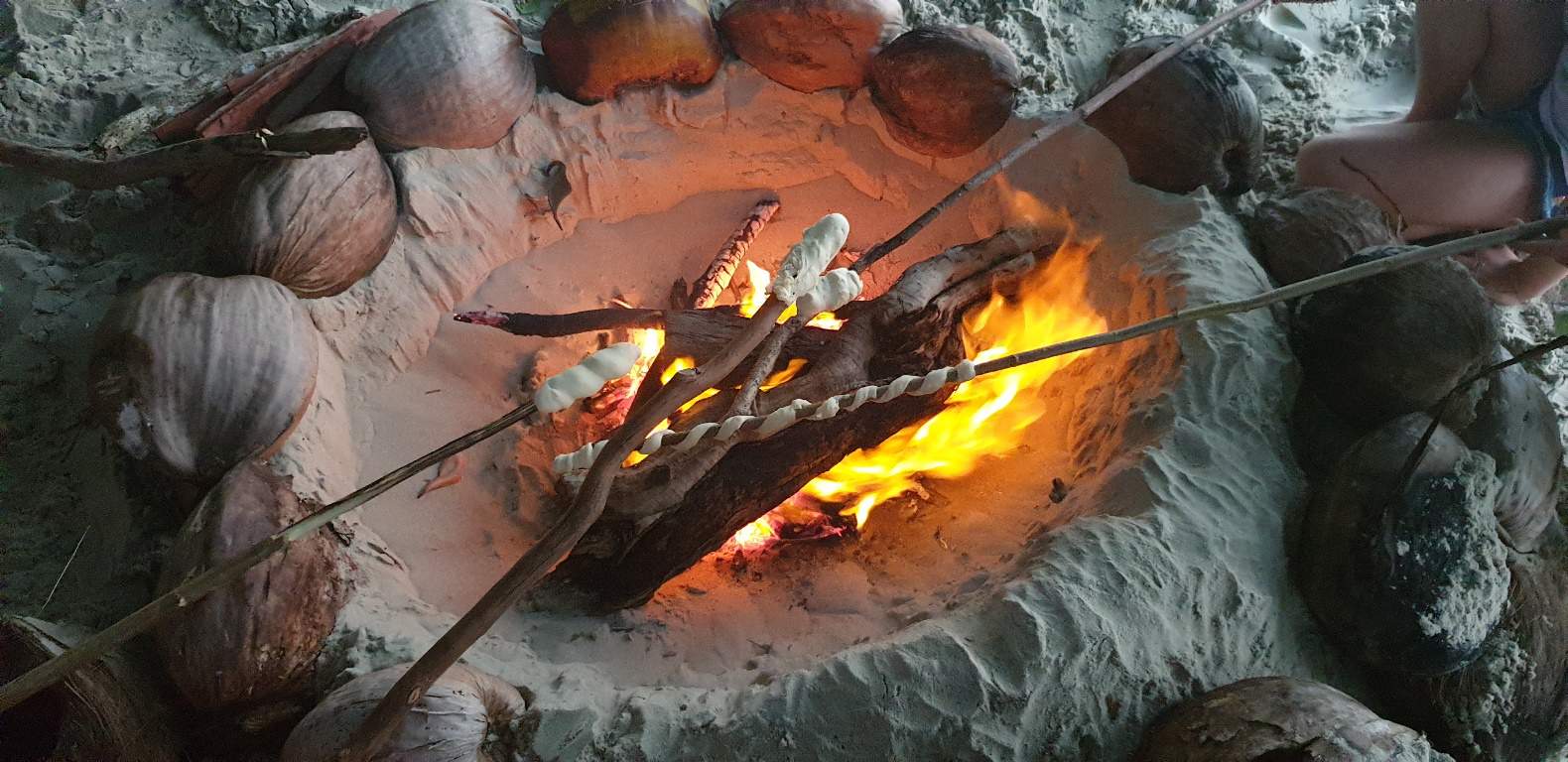 damper sticks campfire cooking