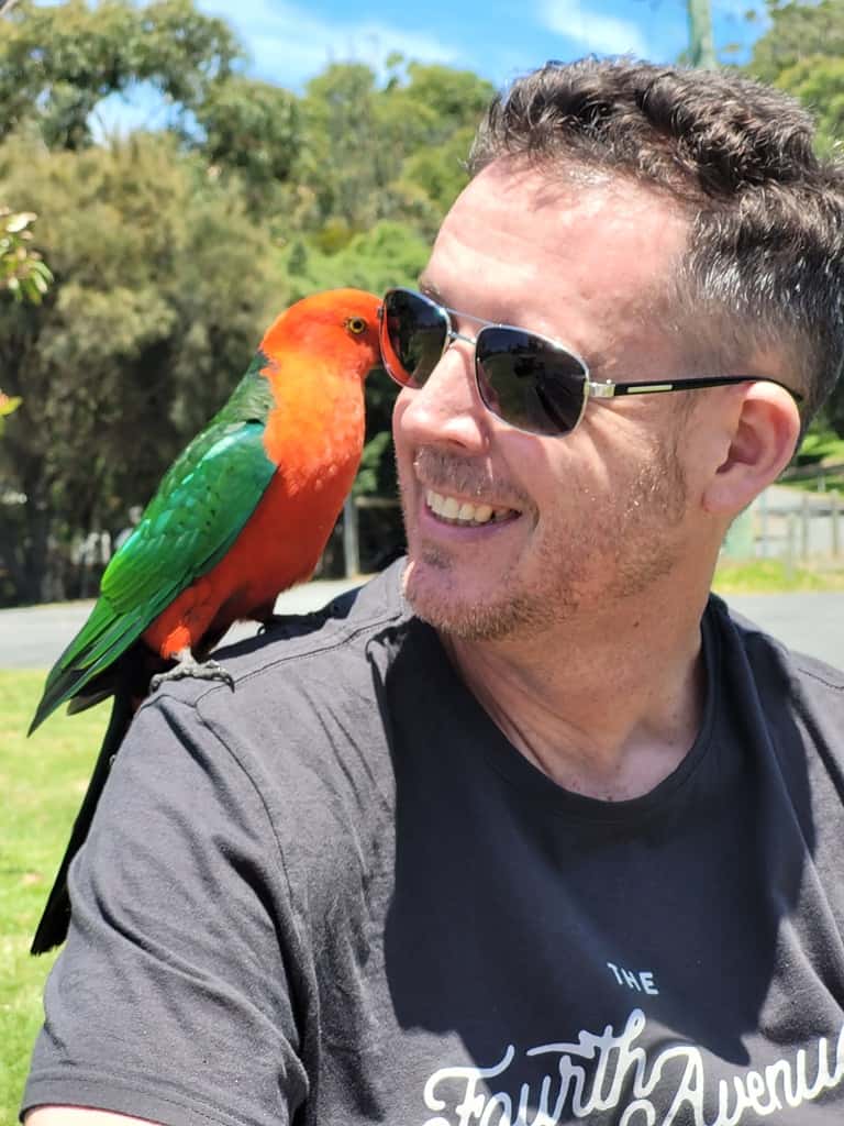 melbourne motorhome hire king parrot