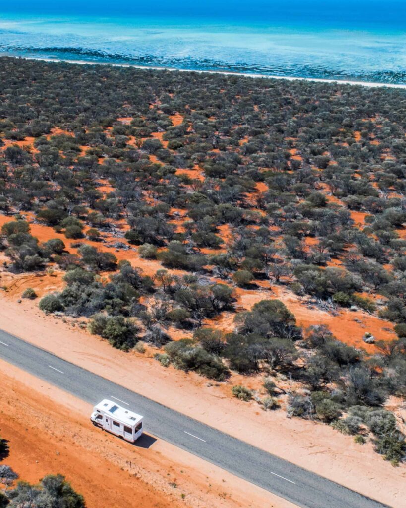 Uma foto de uma estrada com um campervan 4x4, cercada por arbustos.