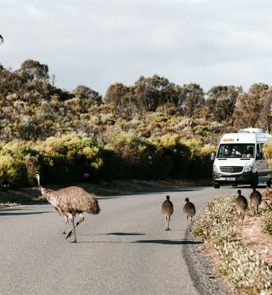 Tasmania motorhome tour