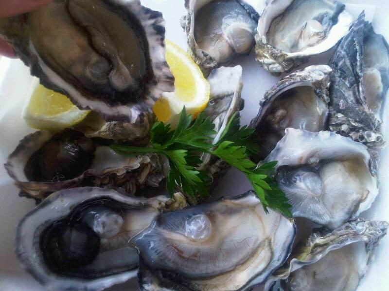 Plate of fresh oysters with lemon at Ceduna, South Australia