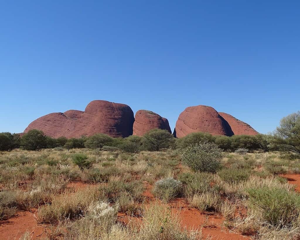 The domes of Kata Tjuta rising above spinifex and red sand in the Red Centre