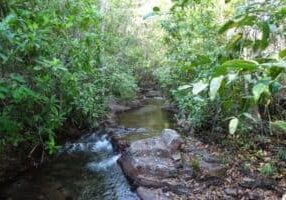 Litchfield national park