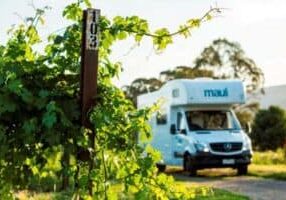 south_australia_vineyards