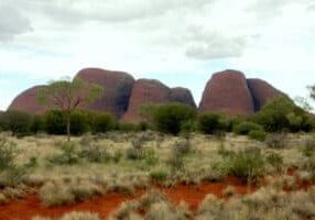 the-olgas