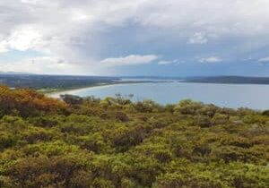 Views over Torndirrup National Park coastline sandy beach bush