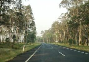 Driving in to Carnarvon Gorge